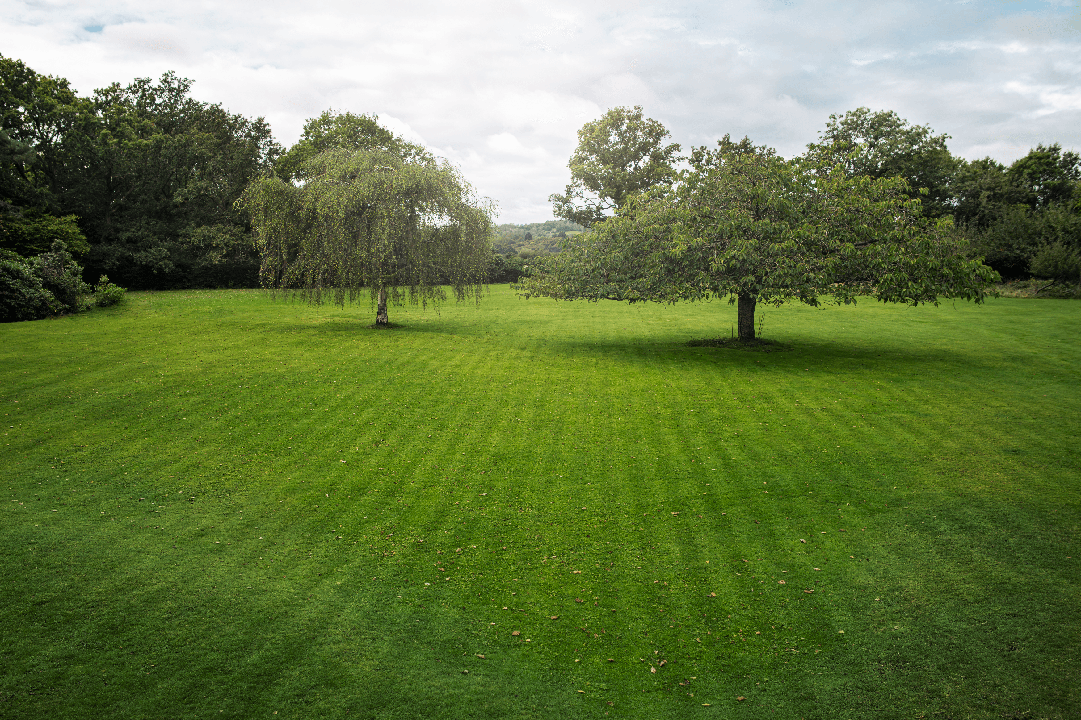 Choose stripes, checkerboard or a triangle pattern on your lawn with systematic mowing. This feature enables the mower to run in parallel lines to create a visual pattern. Or for a carpet-like finish, there is also the option of irregular mowing. image